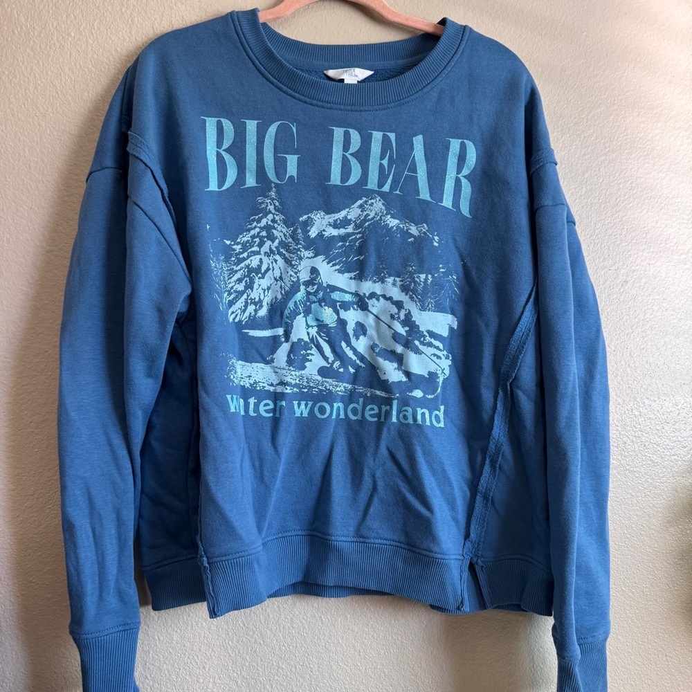 Big Bear Winter Wonderland Blue Graphic Sweatshirt